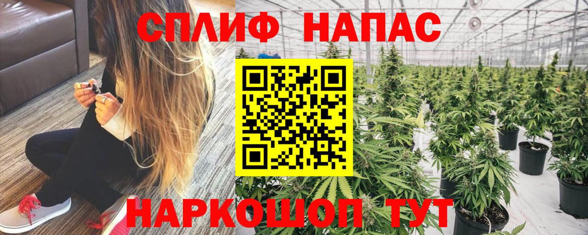 Мценск  МАРИХУАНА сатива  Бошки марихуана AK-47  Марихуана Amnesia  Вход с VPN 